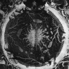Sutekh Hexen — Luciform (Digibook)