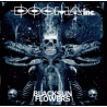 Dogma Inc. – Blacksun Flowers