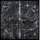 The Osedax – Meridians