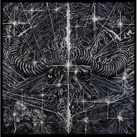 The Osedax – Meridians