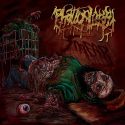 Phalloplasty – Smear