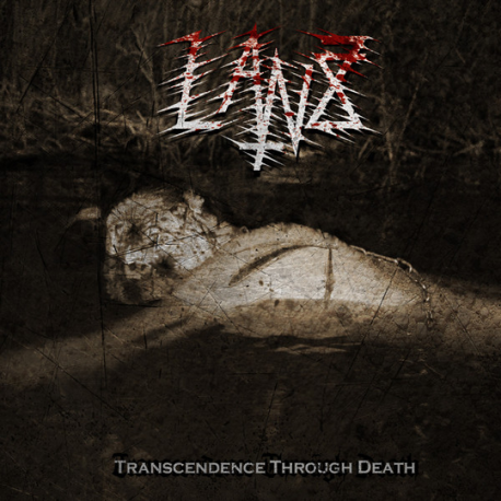 Transcendence Through Death (Digibook)