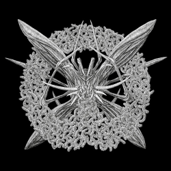 Mallephyr – Womb Of Worms