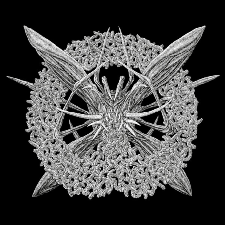 Mallephyr – Womb Of Worms