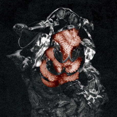 My Lonely Sea – Gloom