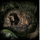 Scratching Soil – E Nihilo Nihil