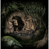 Scratching Soil – E Nihilo Nihil