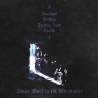 Stardust ⸸ Pestkult ⸸ Erakko ⸸ Funeral Dust – Devils Work In The Witchtower