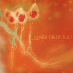 Non Immemor Mei – AntibioTHic