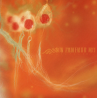 Non Immemor Mei – AntibioTHic
