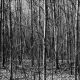 Time Of Death – Forever Trapped In A Broken Mirror