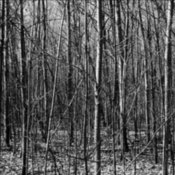 Time Of Death – Forever Trapped In A Broken Mirror