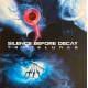 Silence Before Decay – Translunar