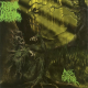 Throb Of Offal – Moss Funeral