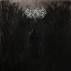 Sores – Sores