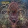 My Regime – Deranged Patterns