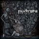 Panchrysia – Dogma
