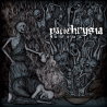 Panchrysia – Dogma