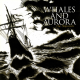 Whales And Aurora – The Shipwreck
