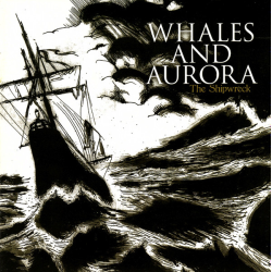 Whales And Aurora – The Shipwreck