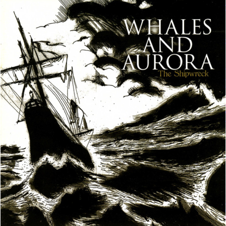 Whales And Aurora – The Shipwreck