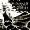 Whales And Aurora – The Shipwreck