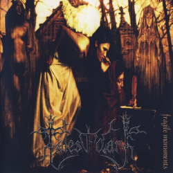 Tales Of Dark – Fragile Monuments