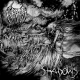 Wraith — Shadows