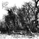 Kolp – Pale Stars Shine