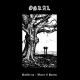 Oskal – Stahlkrieg / Blazes Of Sunset