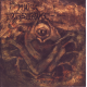 Murk Exorbitance – Desecrated Reality
