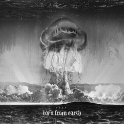 Torn From Earth – Self