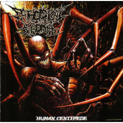 Pathological Sadism – Human Centipede