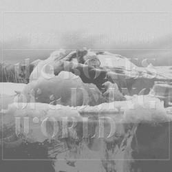 If These Trees Could Talk – The Bones Of A Dying World