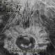 Illness – Planet Paranoia