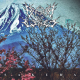 Breath Of Wind – Sakura