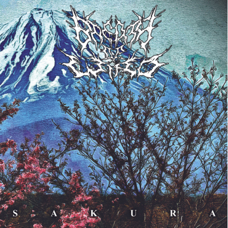 Breath Of Wind – Sakura