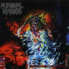Funeral Speech – Experimental World