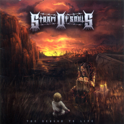 Storm Of Souls – The Reason To Live