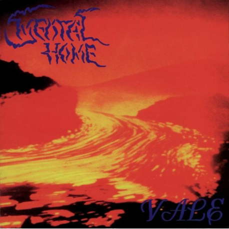Mental Home – Vale