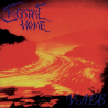 Mental Home – Vale