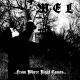 WEL – ...From Where Night Comes...