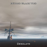 Beyond Black Void – Desolate
