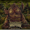 Fermented Masturbation – Perverted Slamicide
